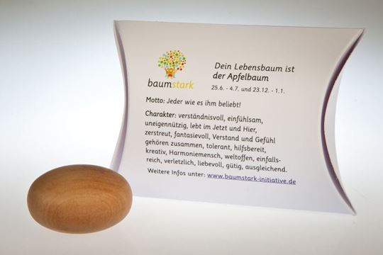 Bild von Handschmeichler Apfelbaum mit Baumhoroskop von baumstark