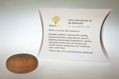 Bild von Handschmeichler Eberesche mit Baumhoroskop von baumstark