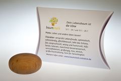 Image de Handschmeichler Ulme mit Baumhoroskop von baumstark