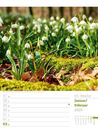 Bild von Unser Wald - Wochenplaner Kalender 2025