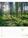 Bild von Unser Wald - Wochenplaner Kalender 2025