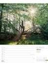 Bild von Unser Wald - Wochenplaner Kalender 2025