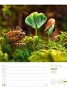 Bild von Unser Wald - Wochenplaner Kalender 2025