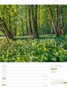 Bild von Unser Wald - Wochenplaner Kalender 2025