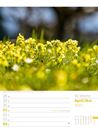 Bild von Unser Wald - Wochenplaner Kalender 2025