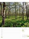 Bild von Unser Wald - Wochenplaner Kalender 2025