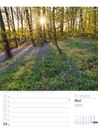 Bild von Unser Wald - Wochenplaner Kalender 2025