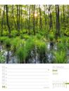 Bild von Unser Wald - Wochenplaner Kalender 2025