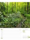 Bild von Unser Wald - Wochenplaner Kalender 2025