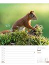 Bild von Unser Wald - Wochenplaner Kalender 2025