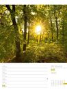 Bild von Unser Wald - Wochenplaner Kalender 2025