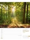 Bild von Unser Wald - Wochenplaner Kalender 2025