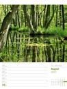 Bild von Unser Wald - Wochenplaner Kalender 2025