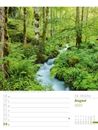 Bild von Unser Wald - Wochenplaner Kalender 2025