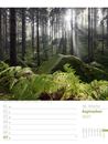 Bild von Unser Wald - Wochenplaner Kalender 2025