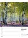 Bild von Unser Wald - Wochenplaner Kalender 2025