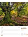 Bild von Unser Wald - Wochenplaner Kalender 2025