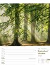 Bild von Unser Wald - Wochenplaner Kalender 2025