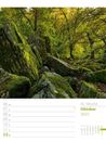 Bild von Unser Wald - Wochenplaner Kalender 2025