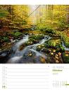 Bild von Unser Wald - Wochenplaner Kalender 2025