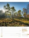 Bild von Unser Wald - Wochenplaner Kalender 2025