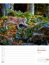 Bild von Unser Wald - Wochenplaner Kalender 2025