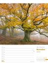 Bild von Unser Wald - Wochenplaner Kalender 2025