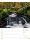 Bild von Unser Wald - Wochenplaner Kalender 2025