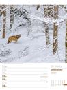 Bild von Unser Wald - Wochenplaner Kalender 2025