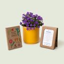 Bild von Plantable calendar 2025 (english)