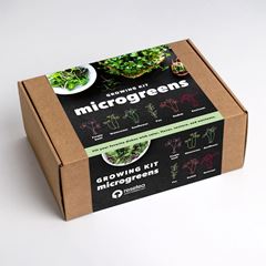 Bild von Microgreens (EN)