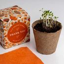 Bild von Say it with Flowers Growing Kit (Thank You)