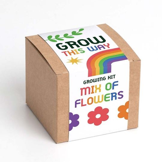 Bild von Grow This Way – Mix of Flowers Growing Kit