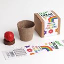 Bild von Grow This Way – Mix of Flowers Growing Kit