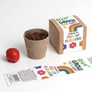 Bild von Grow This Way – Mix of Flowers Growing Kit