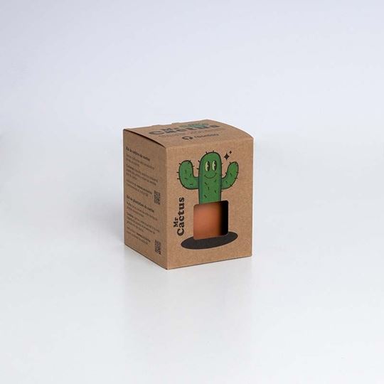 Bild von Mr. Cactus