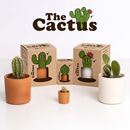 Bild von Baby Cactus