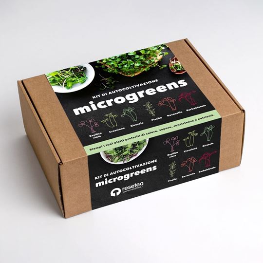 Bild von Microgreens IT