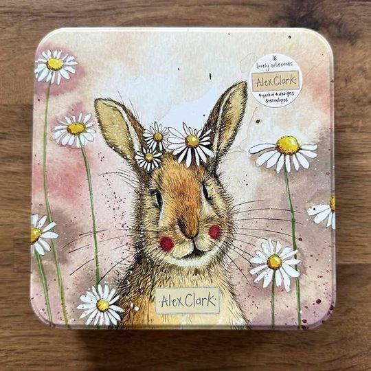 Bild von Bunnies TINNED GREETINGS CARDS