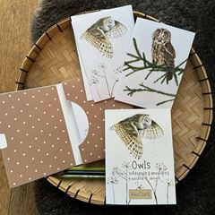 Bild von OWLS BOXED NOTECARDS