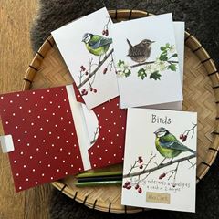 Bild von BIRDS BOXED NOTECARDS