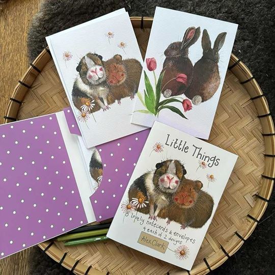 Bild von LITTLE THING BOXED NOTECARDS