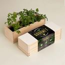 Bild von Gourmet Growing Kit (parsley, basil, coriander)