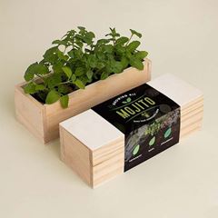 Bild von Mojito Growing Kit (peppermint, basil, spearmint)