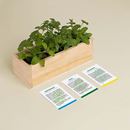 Bild von Mojito Growing Kit (peppermint, basil, spearmint)