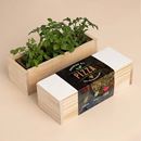 Bild von Pizza Growing Kit (oregano, basil, cherry tomato)