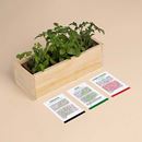 Bild von Pizza Growing Kit (oregano, basil, cherry tomato)