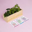 Bild von Desserts Growing Kit (strawberry, blackberry, redcurrant)