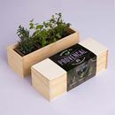 Bild von Provencal Growing Kit (rosemary, oregano, thym)