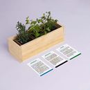 Bild von Provencal Growing Kit (rosemary, oregano, thym)